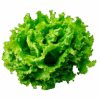 fresh-green-lettuce-healthy-food-ingredient_84443-38162