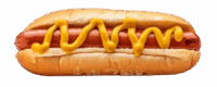 hot-dog-with-mustard