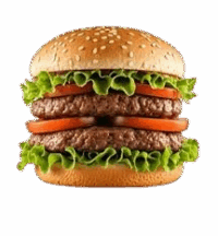 double hamburger