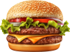 Double Cheeseburger 1 Pound Of Beef on a 5″ Jumbo Bun